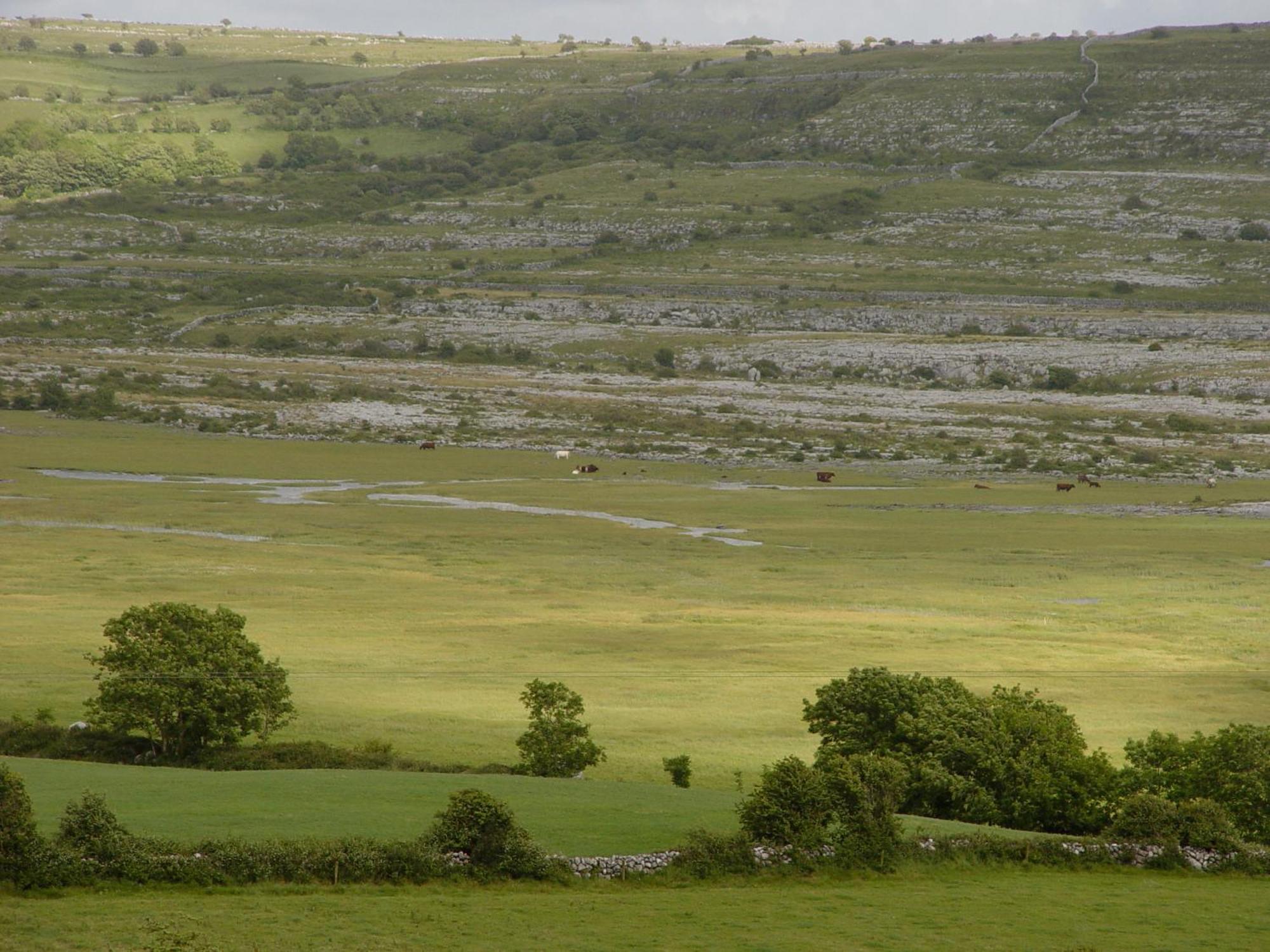 Clare'S Rock Self-Catering Accommodation Carron 外观 照片
