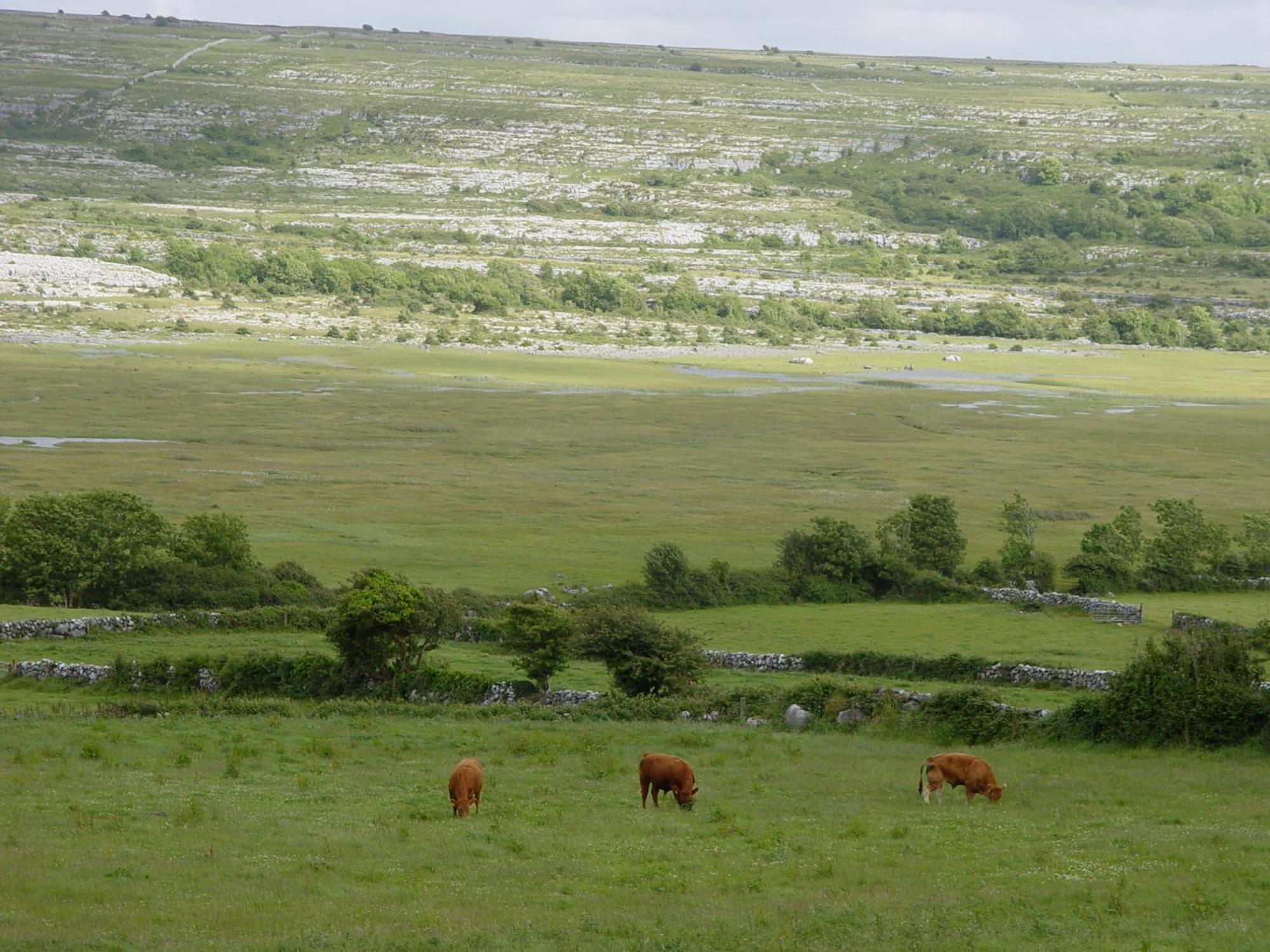 Clare'S Rock Self-Catering Accommodation Carron 外观 照片
